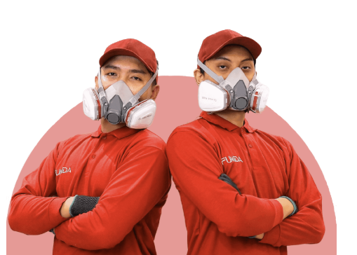 Waspada Serangan Rayap di Jakarta, Ini Solusi Perlindungan Bangunan yang Tepat